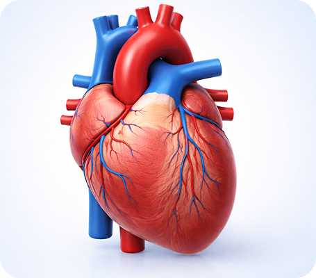 Cardiac & Diabetic Care